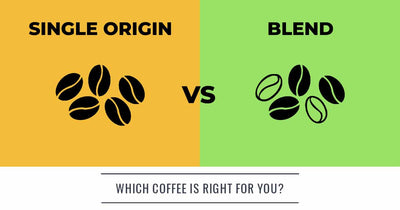 Finding Your Perfect Coffee